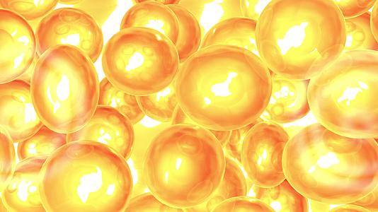 신진대사 활성화